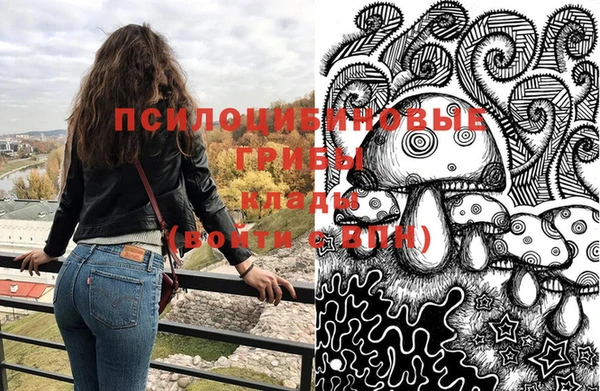 прущие грибы Абинск
