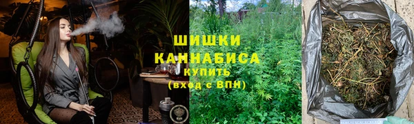 прущие грибы Абинск