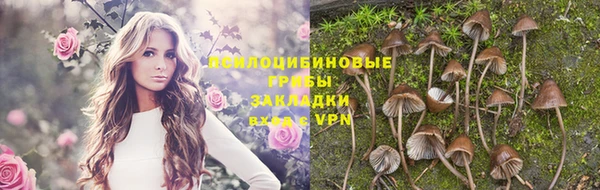 прущие крисы Абдулино