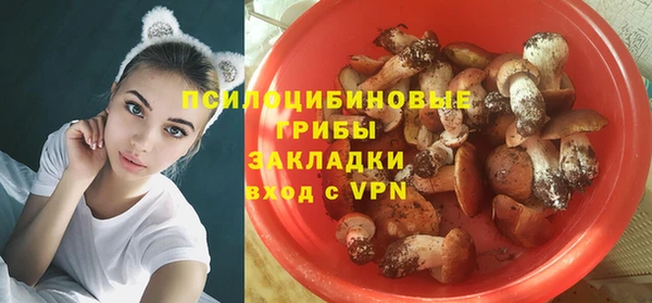 apvp Нижний Тагил