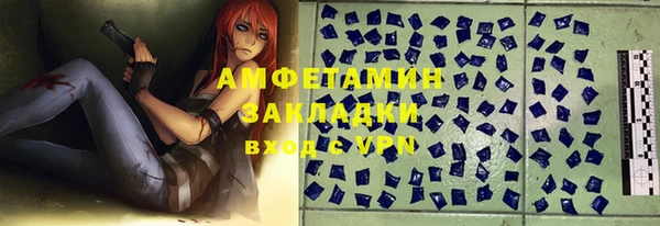 прущие грибы Абинск