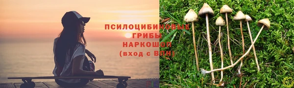 прущие крисы Абдулино