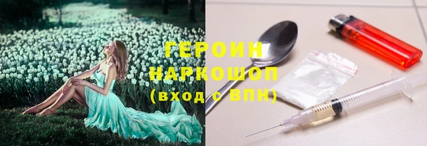 прущие грибы Абинск