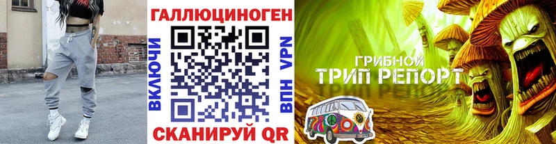 Галлюциногенные грибы GOLDEN TEACHER  darknet как зайти  ОМГ ОМГ как войти  Серпухов  магазин  наркотиков 
